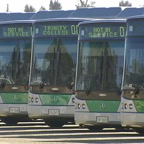 Bus Transport Infrastructure