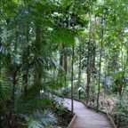 Landscaping Projects